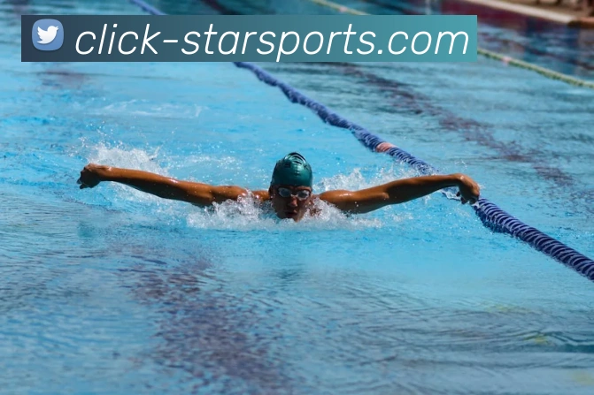 星空体育appAPP 封面图